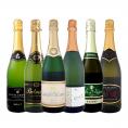 スパークリング sparkling ワイン wine セット set 第169弾 ベスト・オブ・スパーク 当店厳選 高級クレマン clement も入った極旨泡ばかりの辛口スパークリング
