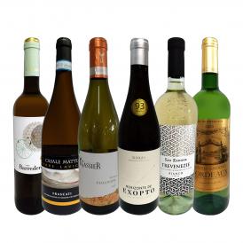  第6弾 当店 極 厳選 白ワイン wine 好きならこのセット set 格別の美味しさ 華やかな上質白ワイン wine を存分に味わう贅沢白ワイン wine 6本セット set 