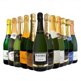 スパークリング sparkling ワイン wine セット set 第50弾 選び抜いたハイクオリティ泡ばかり12本 辛口スパークリング sparkling ワイン wine セット set ワイ 