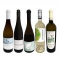  当店独自輸入 オーガニック認証付き 辛口白ワイン wine 5本セット set 