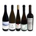  独自輸入 グラン・クリュ入り 欧州・オーガニックワイン wine 赤白5本セット set 