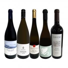  独自輸入 グラン・クリュ入り 欧州・オーガニックワイン wine 赤白5本セット set 