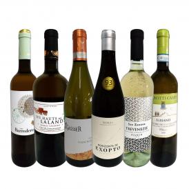  第7弾 当店 極 厳選 白ワイン wine 好きならこのセット set 格別の美味しさ 華やかな上質白ワイン wine を存分に味わう贅沢白ワイン wine 6本セット set 