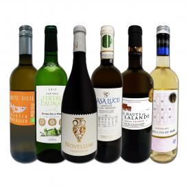 白ワイン wine セット set 第169弾 当店厳選 これぞ極旨辛口白ワイン wine 白ワイン wine を存分に楽しむ 味わい深いスーパー・セレクト白 750ml 6本セット set