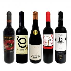  たっぷりコク旨 スペイン Spain 濃厚フルボディ赤ワイン wine 5本セット set 