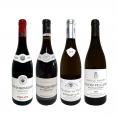  極上プルミェ・クリュ2本入り 厳選ブルゴーニュ bourgogne ワイン wine 4本セット set 