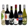  当店独自輸入のチリワイン wine 6本セット set 評価誌94点の実績をもつプレミアムワイン wine からデイリーワイン wine まで幅広いラインナップ 