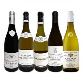  厳選ブルゴーニュ bourgogne 白ワイン wine 5本セット set 
