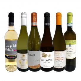  第9弾 当店 極 厳選 白ワイン wine 好きならこのセット set 格別の美味しさ 華やかな上質白ワイン wine を存分に味わう贅沢白ワイン wine 6本セット set 