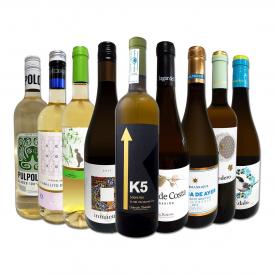  おうちタパスにピッタリ スペイン Spain 各地の白飲み比べ おうちバル白ワイン wine 9本セット set 