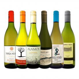 デイリー・シャルドネ chardonnay の決定版 向上目覚しいチリ・アルゼンチンのシャルドネ chardonnay ６本セット set 