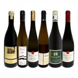  独自輸入 銘醸グラン・クリュ入り フランス France ・アルザス＆ドイツワイン wine 白赤６本セット set 