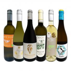 白ワイン wine セット set 第171弾 当店厳選 これぞ極旨辛口白ワイン wine 白ワイン wine を存分に楽しむ 味わい深いスーパー・セレクト白 750ml 6本セット set
