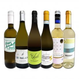 白ワイン wine セット set 第178弾 採算度外視の謝恩企画 当店厳選 特大感謝の大満足白ワイン wine 6本セット set ワイン wine セット set 金賞ワイン wine 飲 