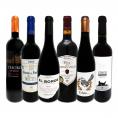  スペイン Spain 全土の地ワイン wine 満喫 スペイン Spain おうちバル赤ワイン wine 6本セット set 