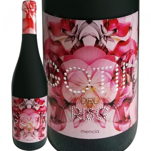 ゴティン・デル・リスク・メンシア 2019 スペイン Spain ビエルソ 赤ワイン wine 750ml フルボディ ミディアムボディ メンシア 高樹齢 古木 シンデレラ産地 冷 01