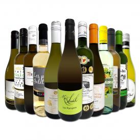 白ワイン wine セット set 第155弾 超特大感謝 スタッフ厳選 の激得白ワイン wine 750ml 12本セット set ワイン wine セット set 辛口 白ワイン wine セット