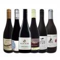  ピノ好き集まれ 新世界のお値打ちピノ６本セット set 