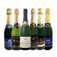スパークリング sparkling ワイン wine セット set 第171弾 ベスト・オブ・スパーク 当店厳選 高級クレマン clement も入った極旨泡ばかりの辛口スパークリング