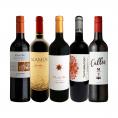  ミシェル・ロランが造るワイン wine が登場 肉料理にばっちり ボルドー bordeaux 人が今も愛する南米カルメネール＆マルベック厳選5本セット set 
