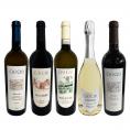  大人気イタリア Italy ン チウ・チウ 激旨5本セット set 