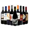  今や輸入量ナンバーワンに輝くチリ 厳選赤ワイン wine ９本セット set 