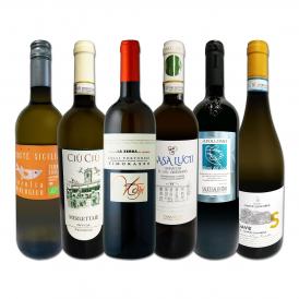  充実感たっぷりのイタリア Italy 白ワイン wine 6本セット set 