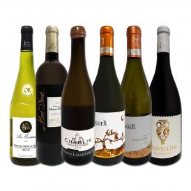  特大感謝の厳選フランス France 白ワイン wine 大放出6本セット set 