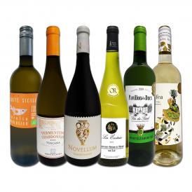 白ワイン wine セット set 第176弾 当店厳選 これぞ極旨辛口白ワイン wine 白ワイン wine を存分に楽しむ 味わい深いスーパー・セレクト白 750ml 6本セット set