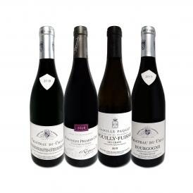  極上プルミェ・クリュ＆銘醸プイィ・フュイッセ 厳選ブルゴーニュ bourgogne ワイン wine 4本セット set 