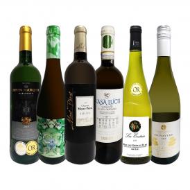  第13弾 当店 極 厳選 白ワイン wine 好きならこのセット set 格別の美味しさ 華やかな上質白ワイン wine を存分に味わう贅沢白ワイン wine 6本セット set 