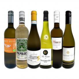 白ワイン wine セット set 第180弾 採算度外視の謝恩企画 当店厳選 特大感謝の大満足白ワイン wine 6本セット set ワイン wine セット set 金賞ワイン wine 飲 