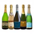  デイリーからデートシーンまで堪能できる世界のお買い得スパークリング sparkling 5本 
