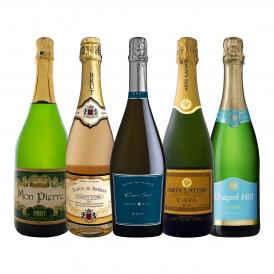  デイリーからデートシーンまで堪能できる世界のお買い得スパークリング sparkling 5本 