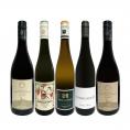  全てオーガニック認証付き いまどき辛口ドイツワイン wine 赤白５本セット set 