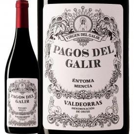 パゴス・デル・ガリア・メンシア 2018 スペイン Spain 赤ワイン wine 750ml ミディアムボディ ガリシア バルデオラス メンシーア グリーン・スペイン Spain 冷 
