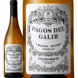 パゴス・デル・ガリア・ゴデーリョ 2020 スペイン Spain 白ワイン wine 750ml 辛口 ガリシア バルデオラス ゴデージョ グリーン・スペイン Spain 冷涼 クネ CVN