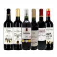 赤ワイン wine セット set 第222弾 全て金賞受賞 史上最強級 キング・オブ・金メダル 極旨ボルドー bordeaux 赤ワイン wine 6本セット set ワイン wine セット 
