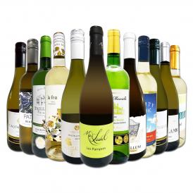 白ワイン wine セット set 第159弾 超特大感謝 スタッフ厳選 の激得白ワイン wine 750ml 12本セット set ワイン wine セット set 辛口 白ワイン wine セット