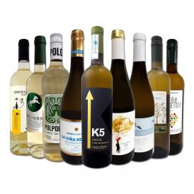  おうちタパスにピッタリ スペイン Spain 各地の白飲み比べ おうちバル白ワイン wine 9本セット set 