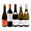  一級サヴィニーも入ってる 圧倒的高級なるフランス France 限定5本セット set 