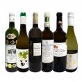  第14弾 当店 極 厳選 白ワイン wine 好きならこのセット set 格別の美味しさ 華やかな上質白ワイン wine を存分に味わう贅沢白ワイン wine 6本セット set 