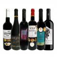  第10弾 当店 極 厳選 赤ワイン wine 好きならこのセット set 格別の美味しさ コク旨上質赤ワイン wine を存分に味わう贅沢赤ワイン wine 6本セット set 