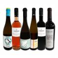  バイヤー厳選 独自輸入 欧州オーガニックワイン wine 6本セット set 