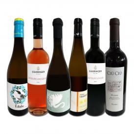  バイヤー厳選 独自輸入 欧州オーガニックワイン wine 6本セット set 