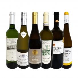  第15弾 当店 極 厳選 白ワイン wine 好きならこのセット set 格別の美味しさ 華やかな上質白ワイン wine を存分に味わう贅沢白ワイン wine 6本セット set 