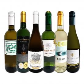 白ワイン wine セット set 第182弾 採算度外視の謝恩企画 当店厳選 特大感謝の大満足白ワイン wine 6本セット set ワイン wine セット set 金賞ワイン wine 飲 
