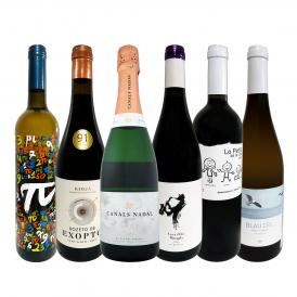  華麗なる新時代スペイン Spain ワイン wine セット set 