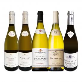  厳選ブルゴーニュ bourgogne 白ワイン wine 5本セット set 