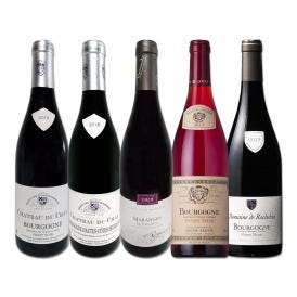  厳選ブルゴーニュ bourgogne 赤ワイン wine 5本セット set 